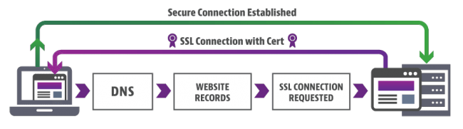 How SSL Certificate Works?