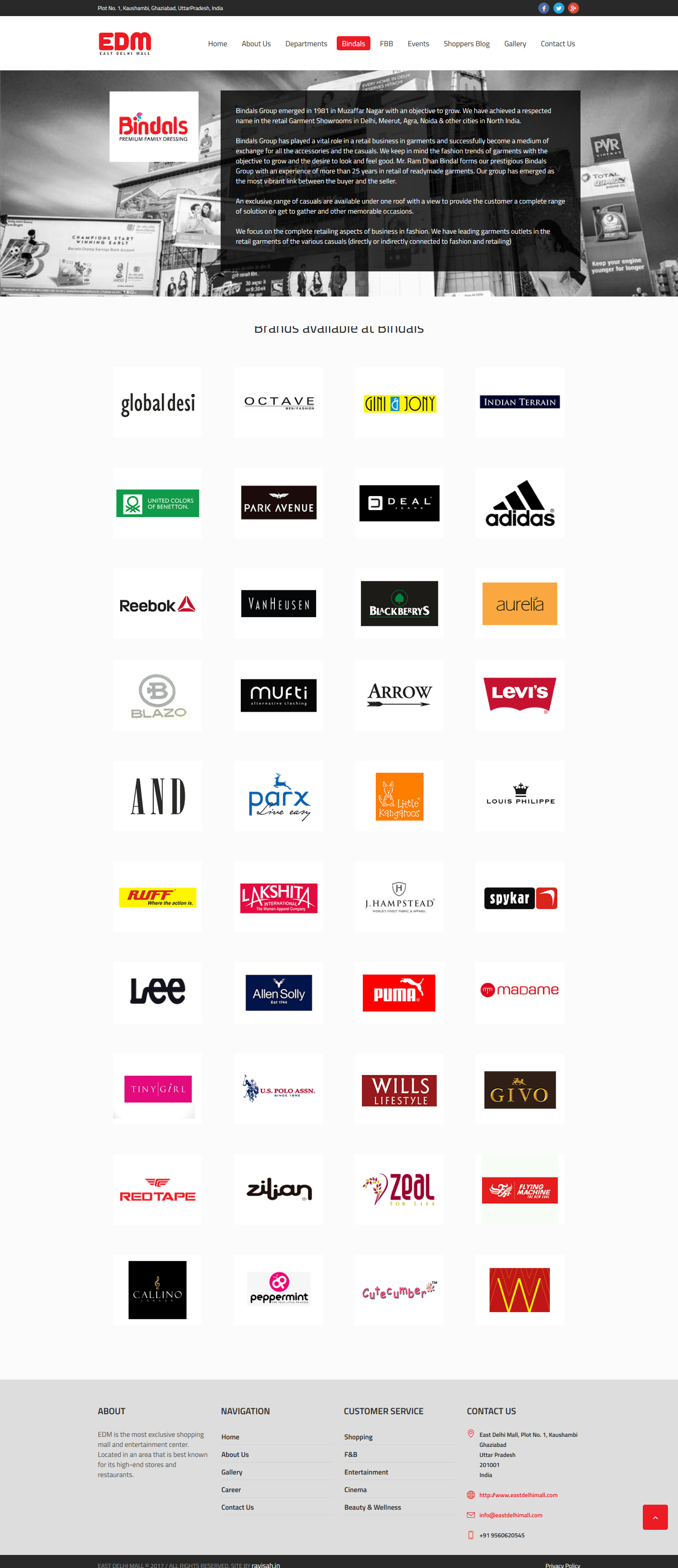 EDM Mall Website Design